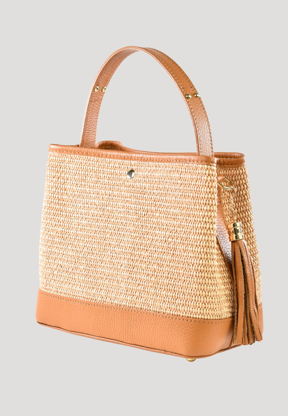 Kendy Bag in Dollar Leather and Raffia Tan