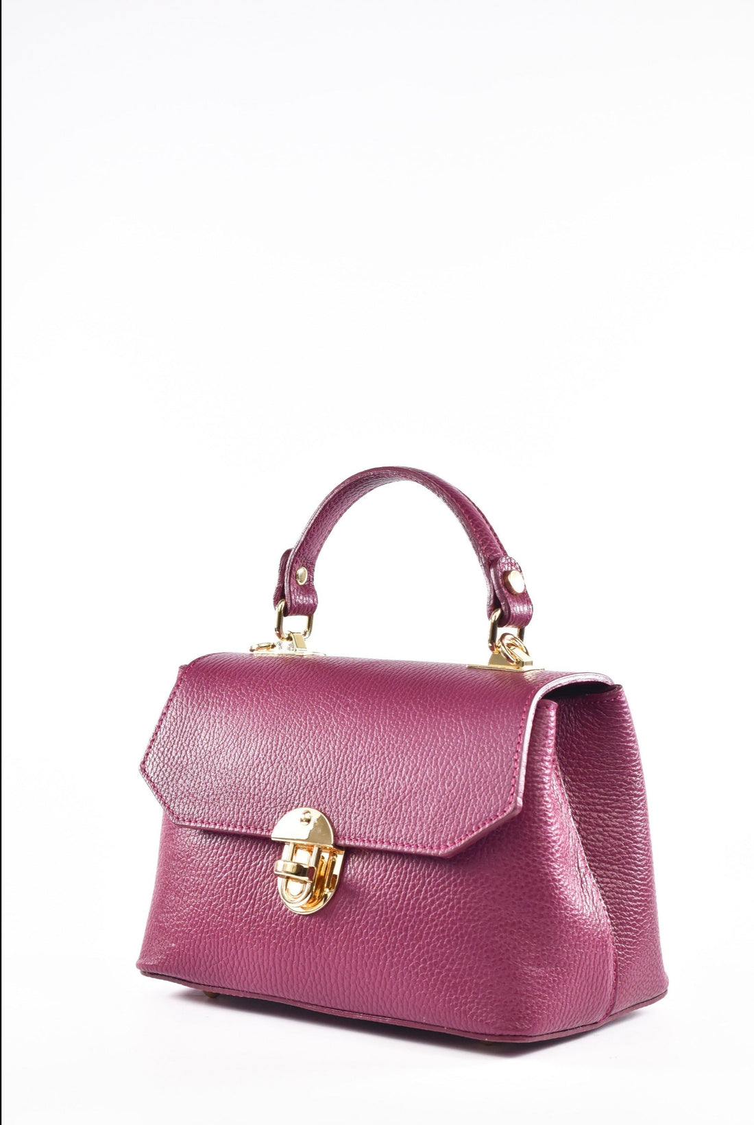 Egle Bag in Plum Dollar Leather