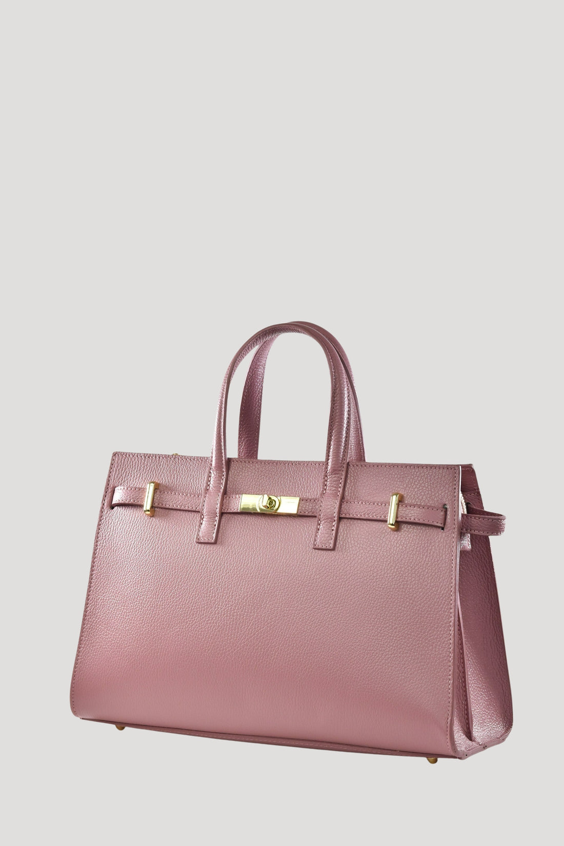 Sveva Bag in Antique Pink Dollar Leather