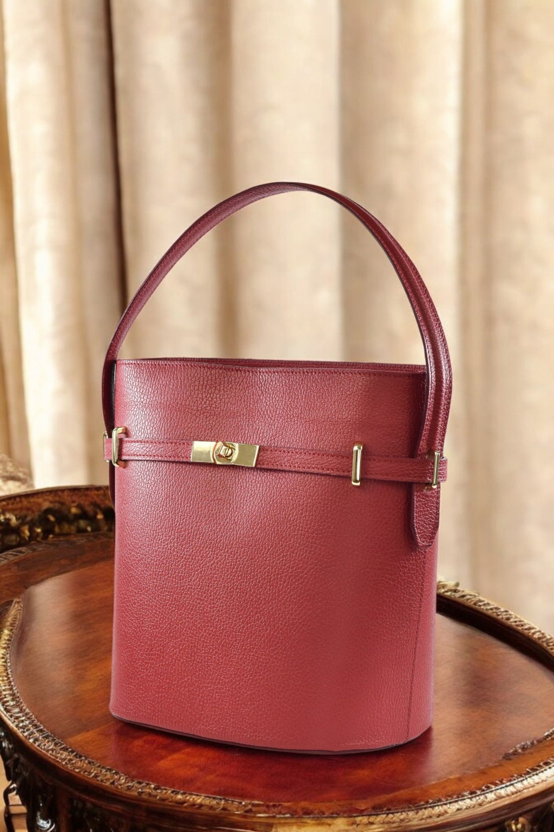 Louise Bag in Red Dollar Leather