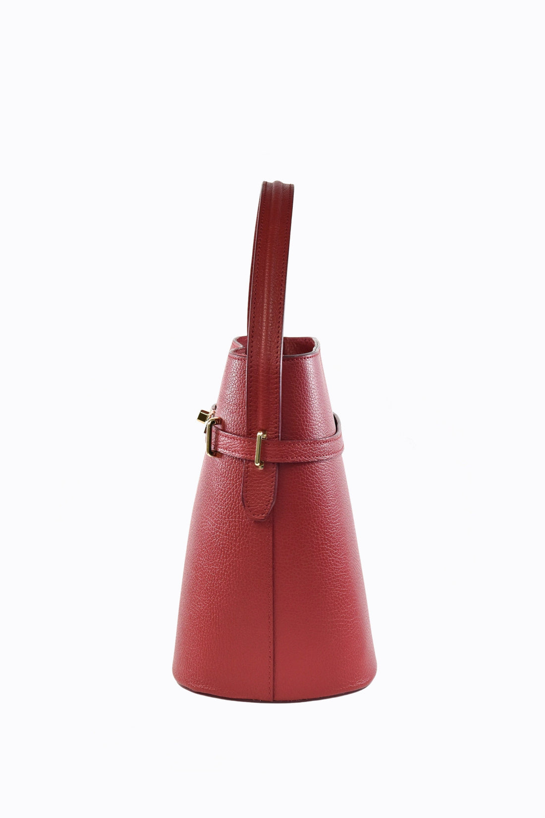 Louise Bag in Red Dollar Leather