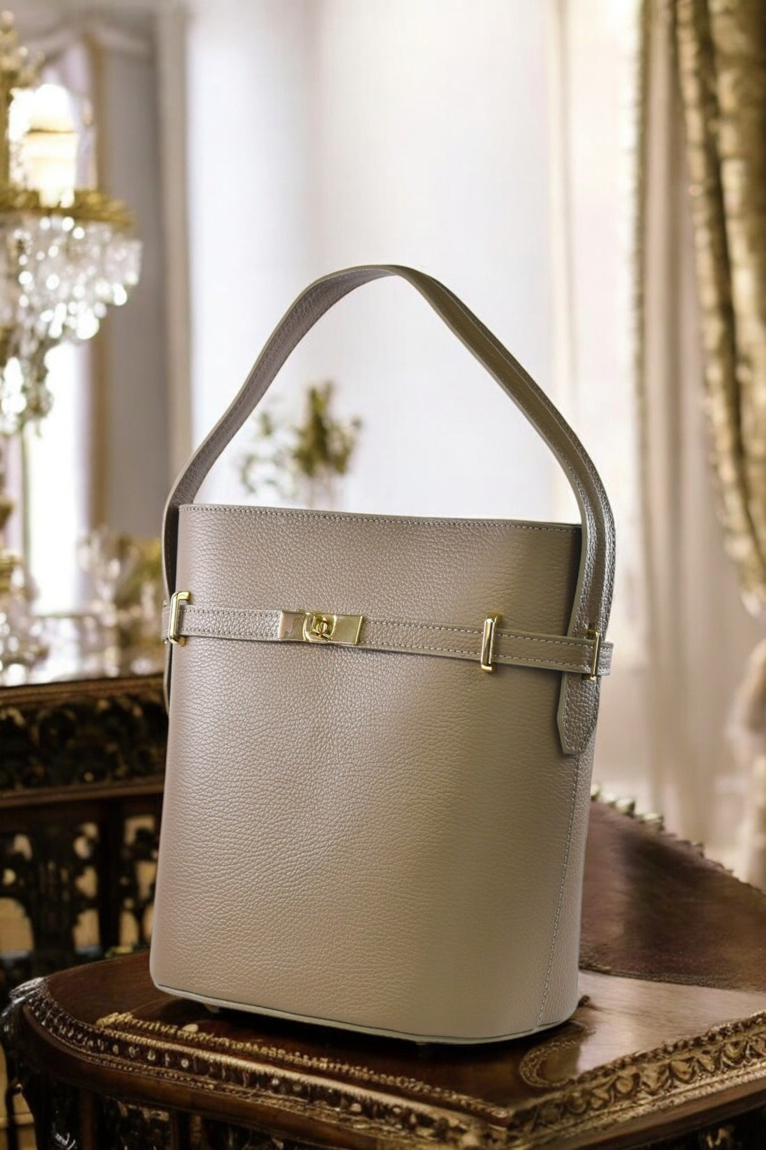 Louise bag in Taupe Dollar leather