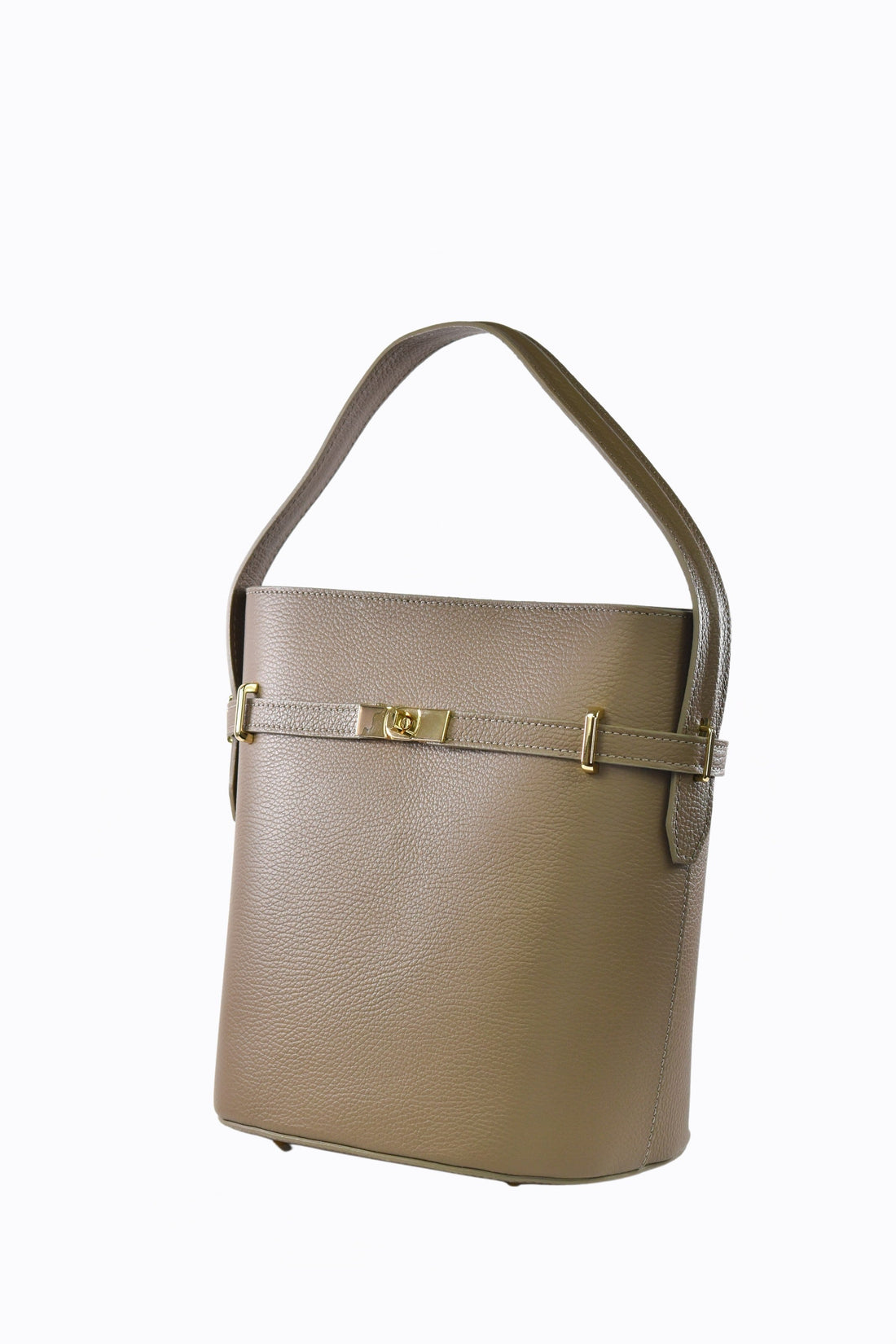 Louise bag in Taupe Dollar leather