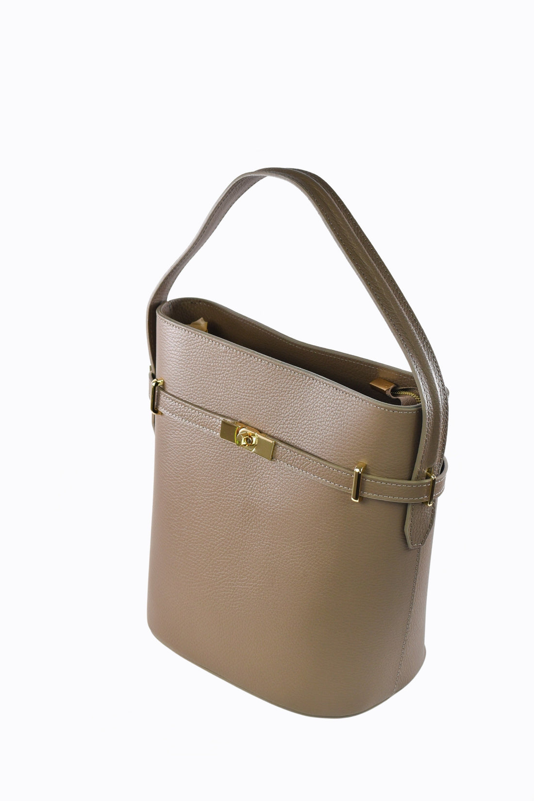Louise bag in Taupe Dollar leather
