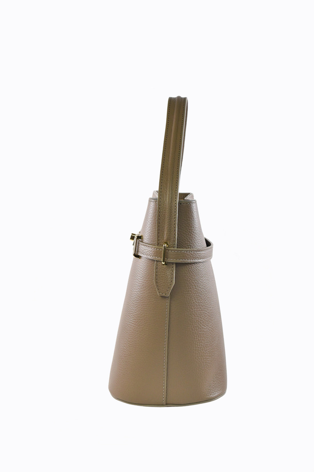 Louise bag in Taupe Dollar leather
