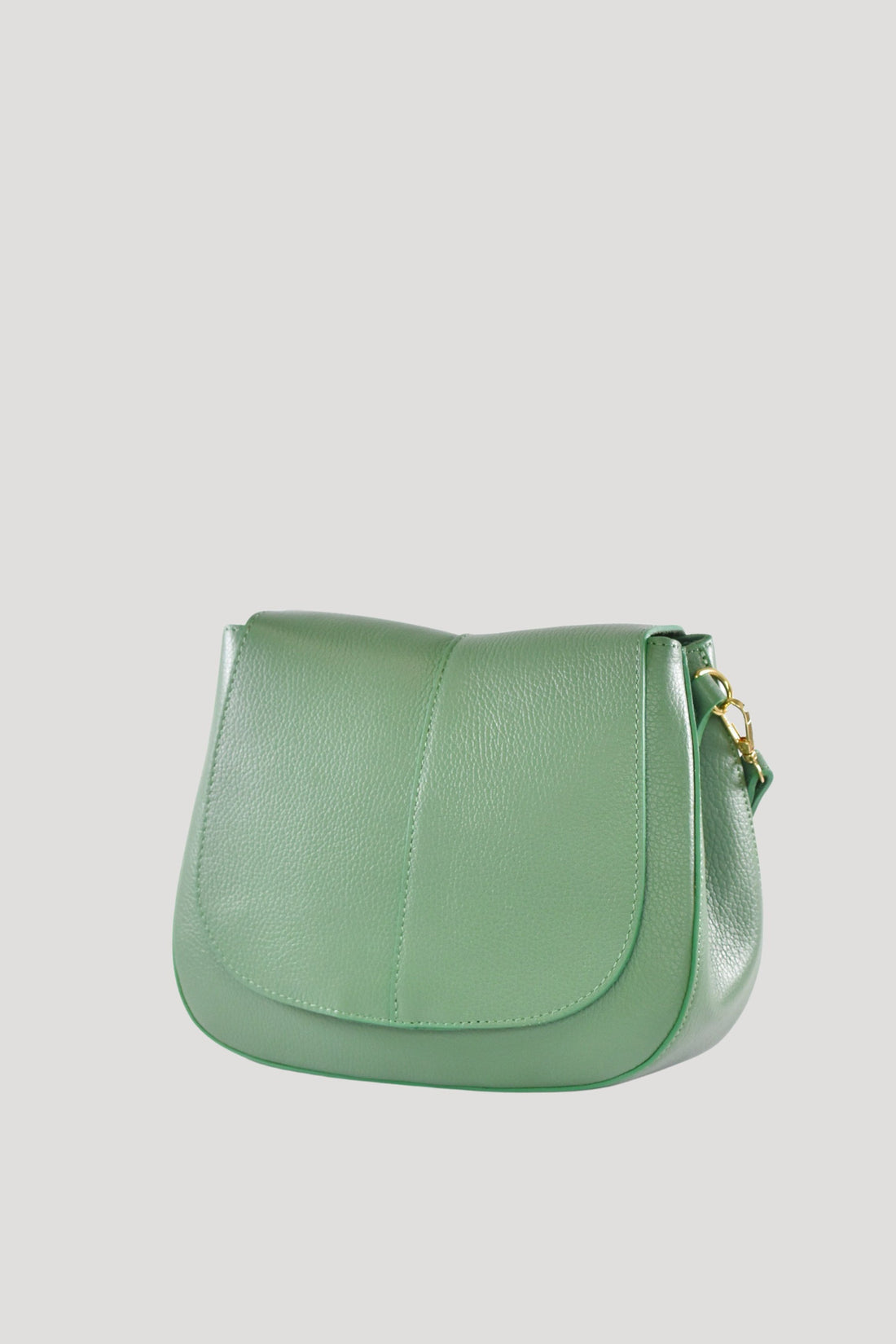 Sofìa Bag in Mint Dollar Leather