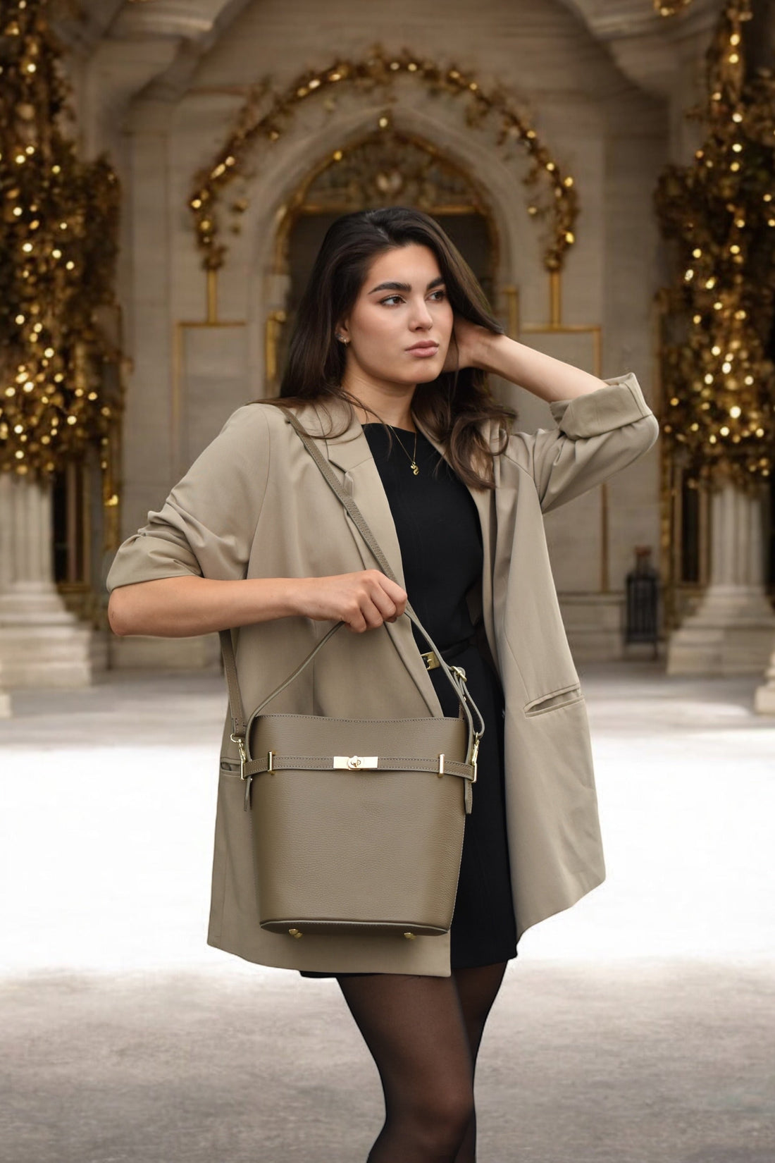 Louise bag in Taupe Dollar leather