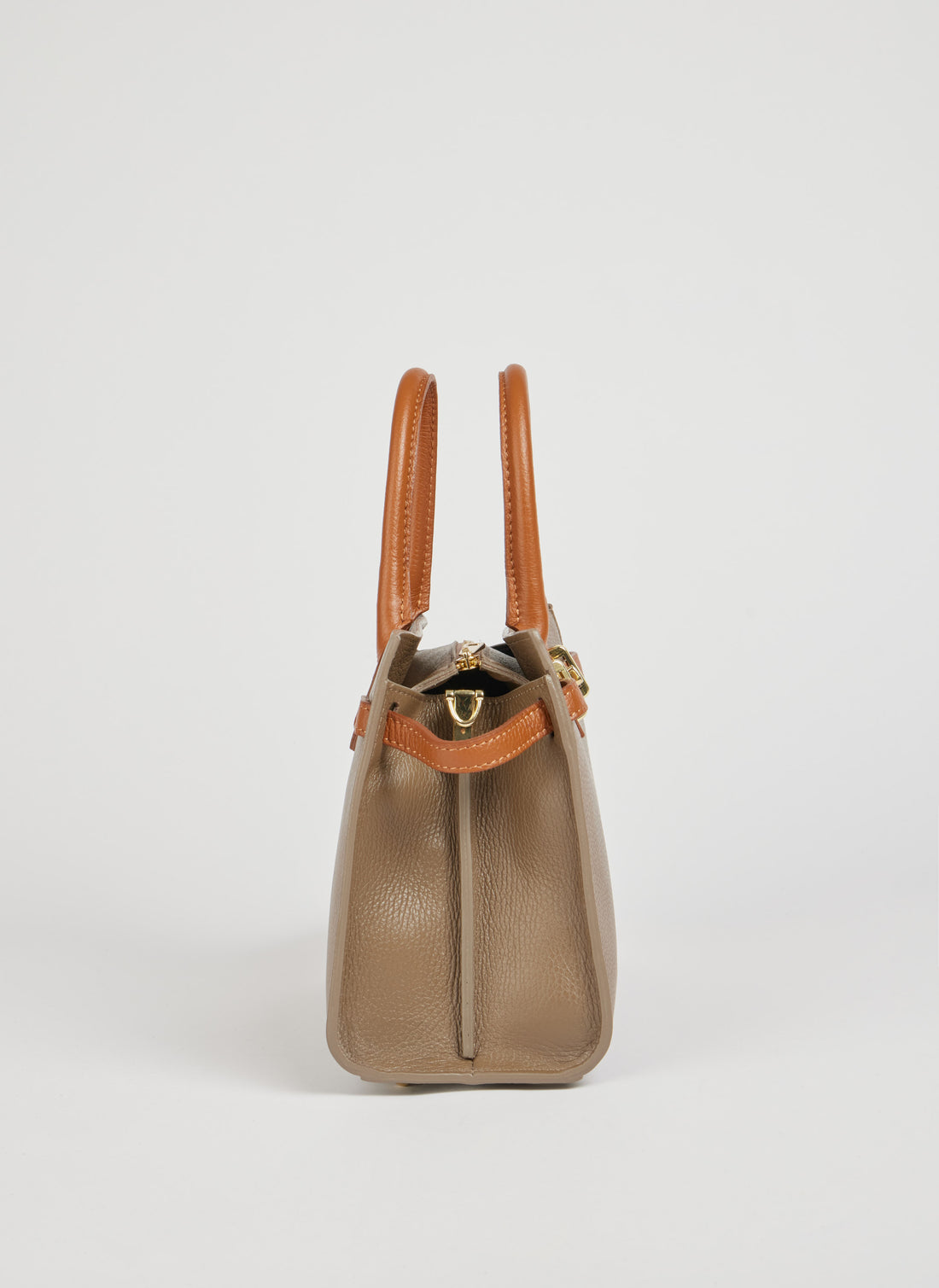 Grace Limited Edition Bag in Taupe Togo Leather