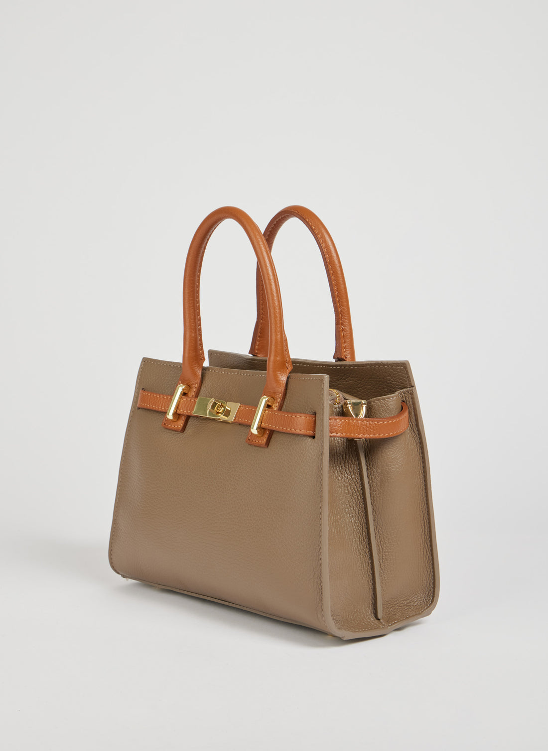 Grace Limited Edition Bag in Taupe Togo Leather