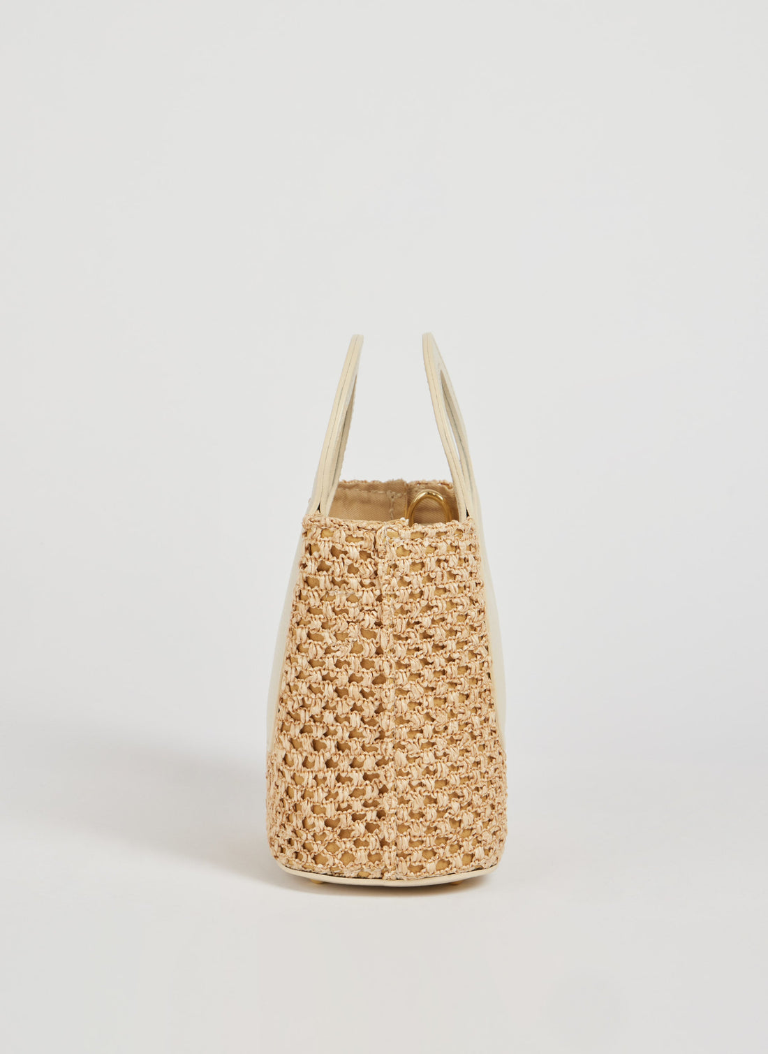 Alba Bag in Dollar Leather and Raffia Beige