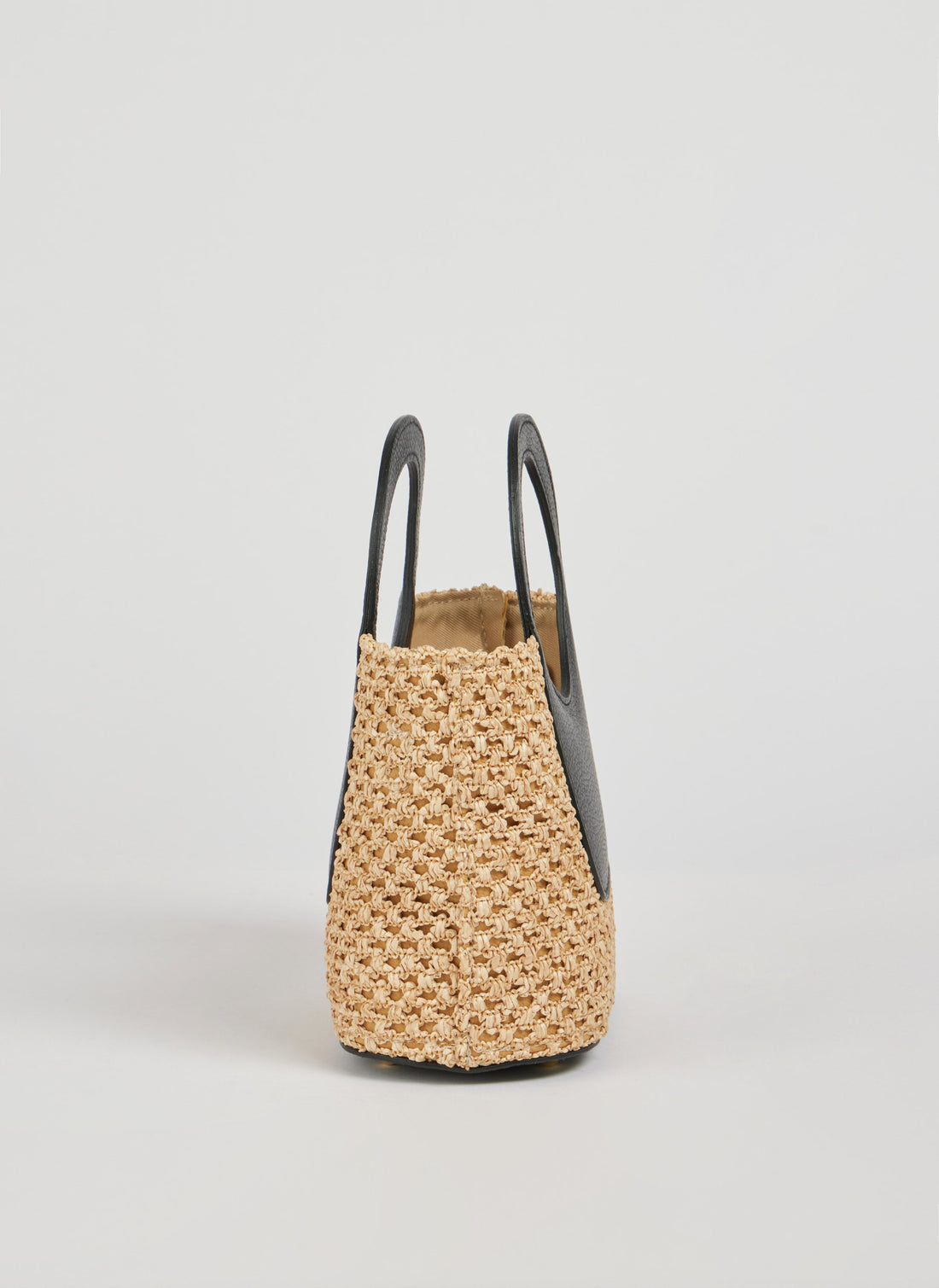 Alba Bag in Dollar Leather and Raffia Black