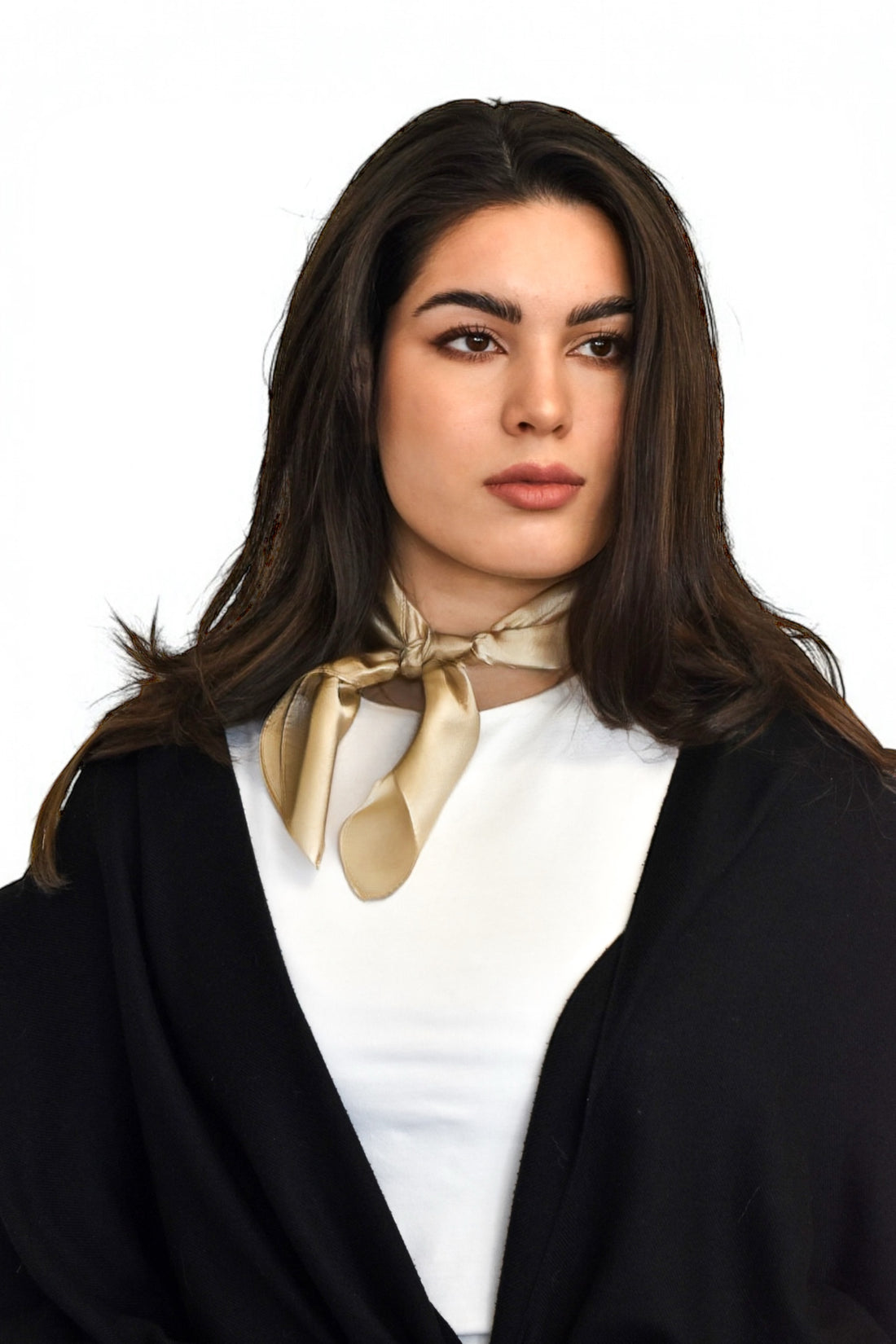 Valentine Scarf in Beige Silk